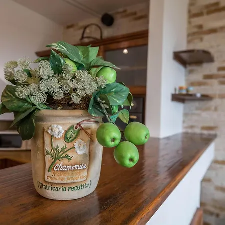 Apartment Al Agave Sotto *